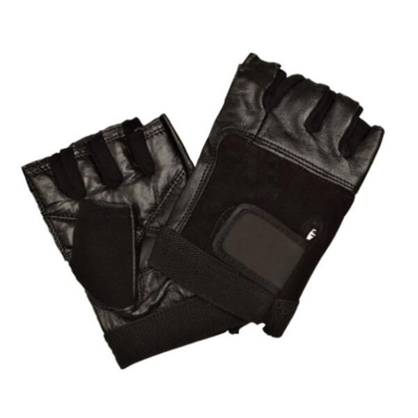 large-500
